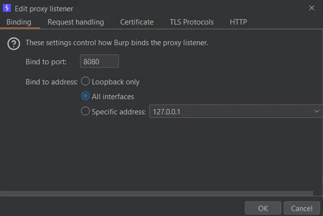 BurpSuite