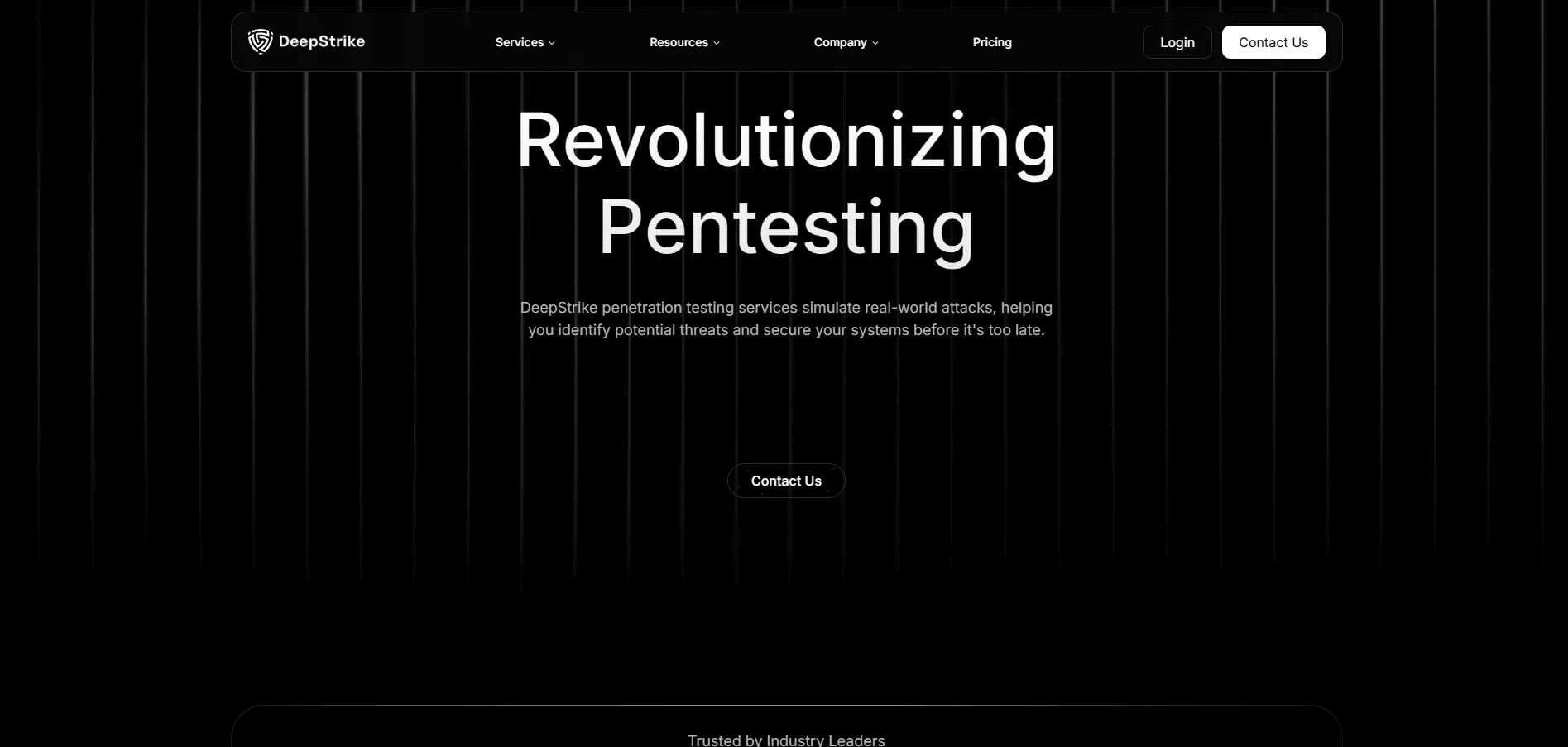 Cyber Age penetration testing website